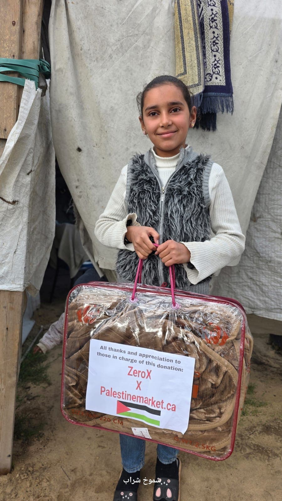 Gaza aid mission