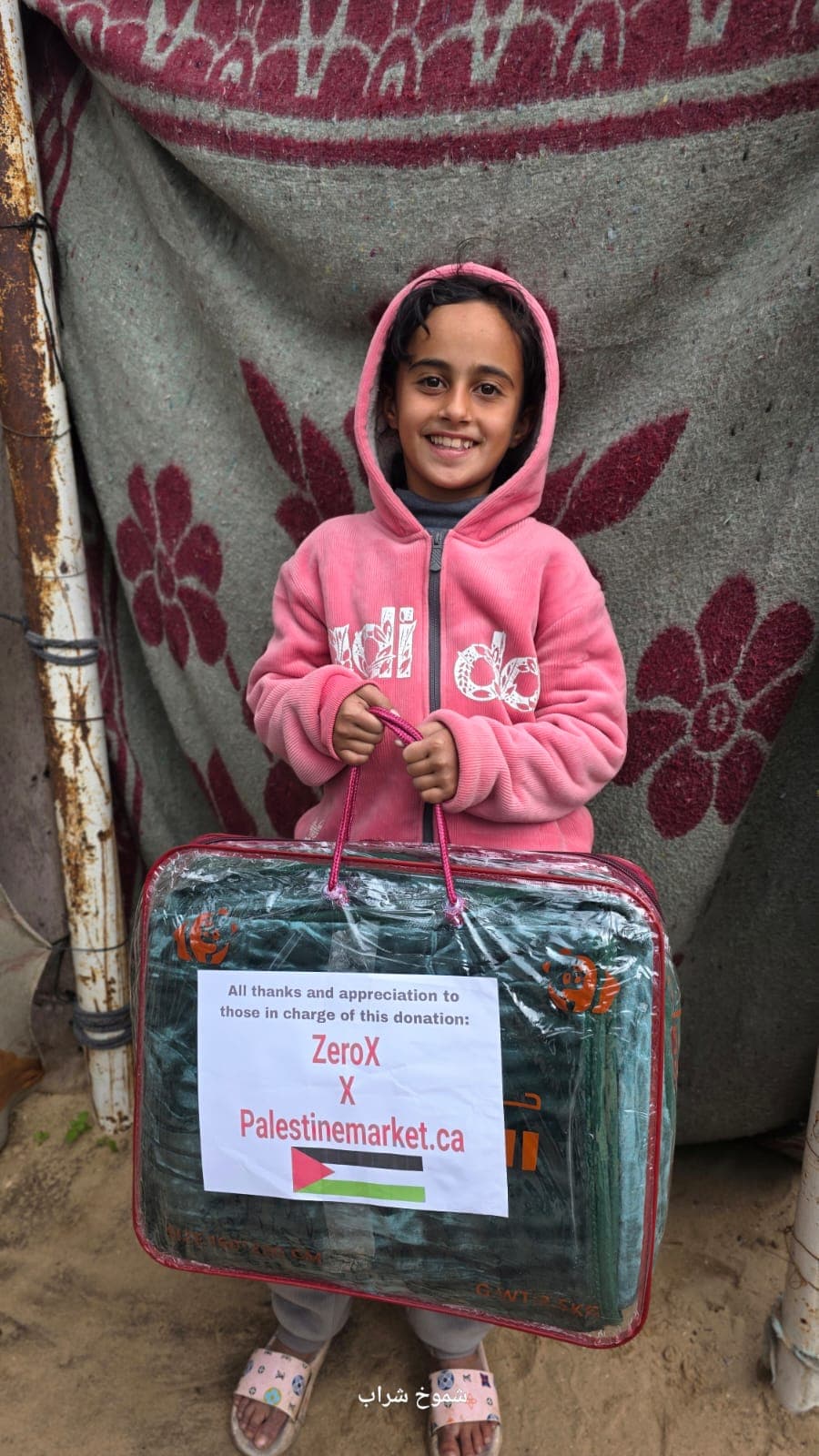 Gaza aid mission