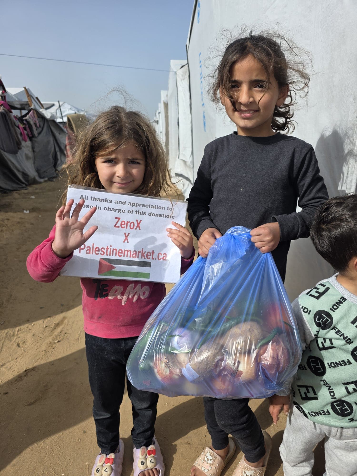 Gaza aid mission