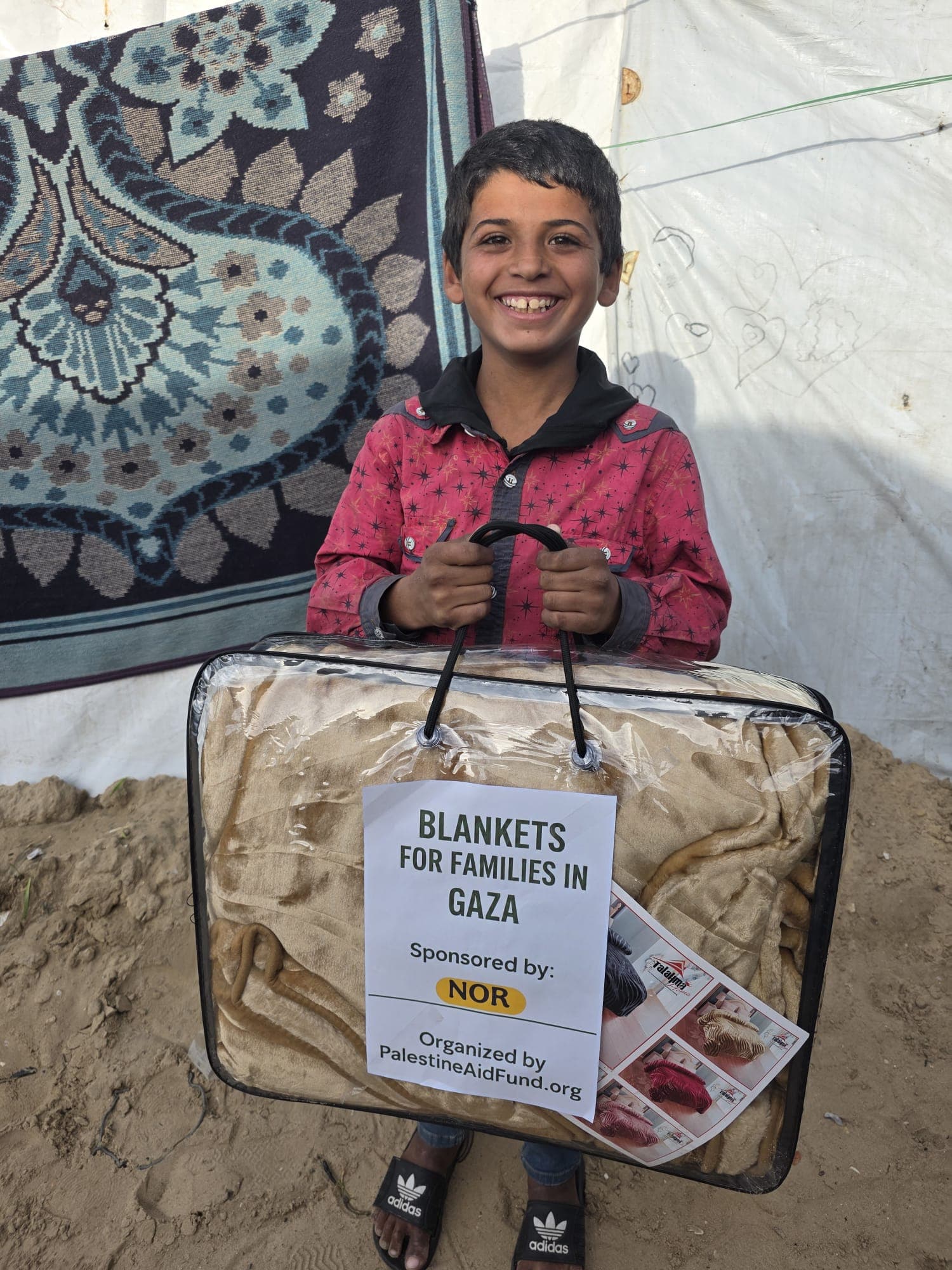Gaza aid mission